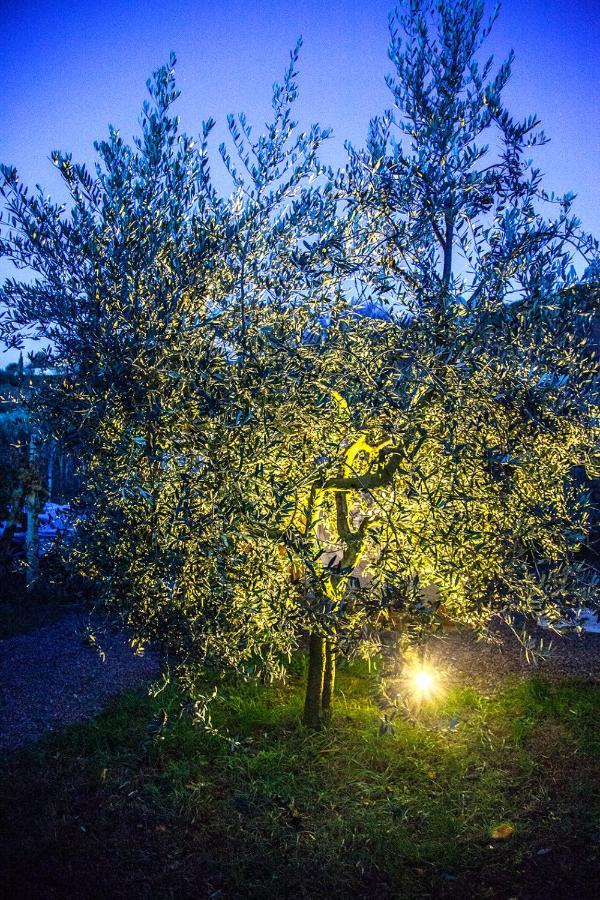 Agriturismo I Roseti Montepulciano Zewnętrze zdjęcie