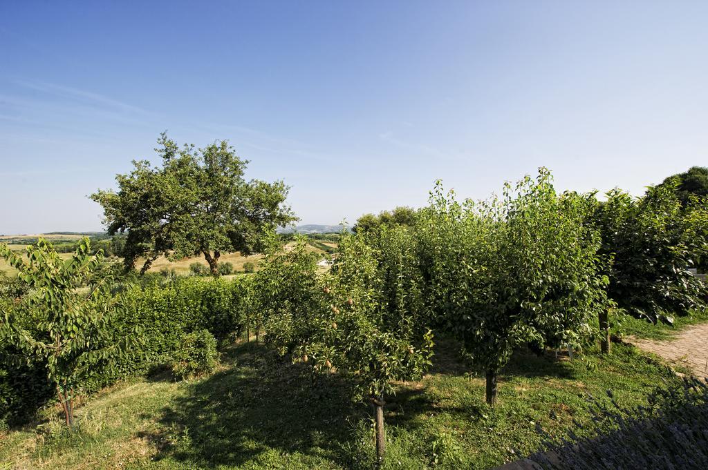 Agriturismo I Roseti Montepulciano Pokój zdjęcie