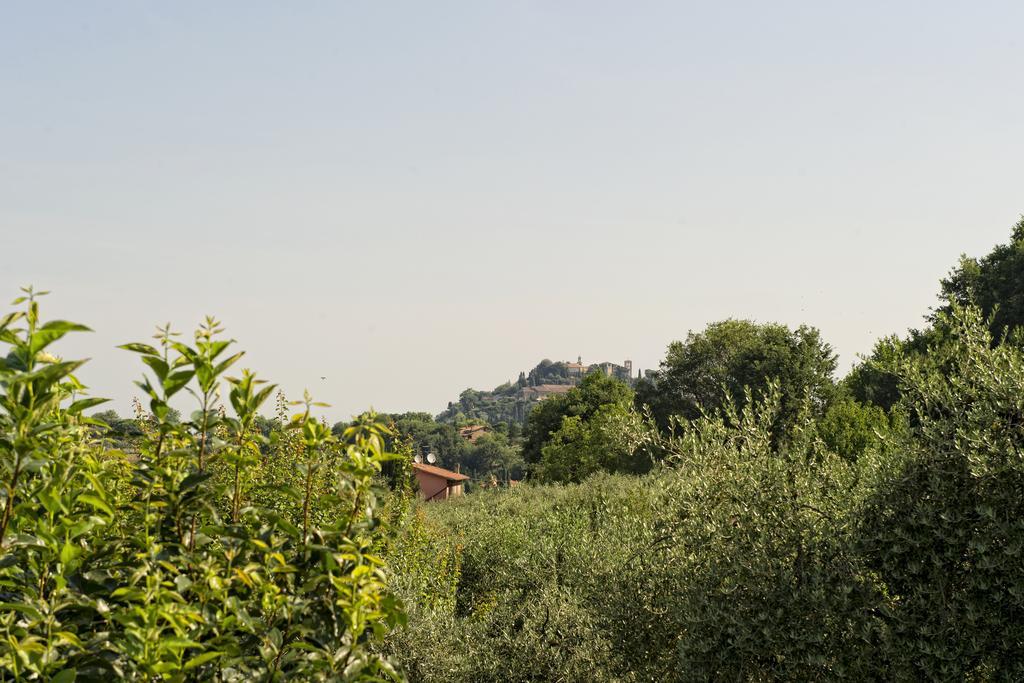 Agriturismo I Roseti Montepulciano Pokój zdjęcie