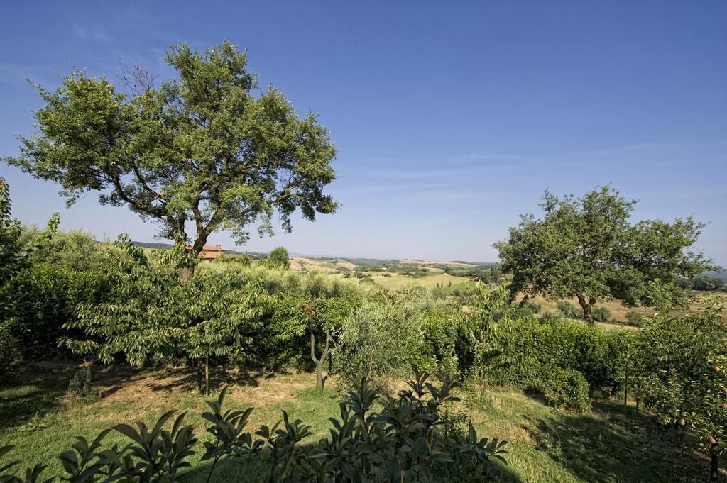 Agriturismo I Roseti Montepulciano Pokój zdjęcie