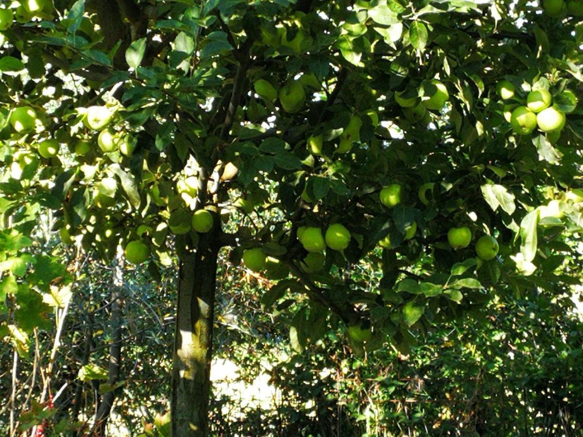 Agriturismo I Roseti Montepulciano Zewnętrze zdjęcie